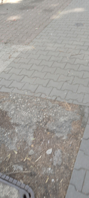Zdjęcie 2 przedstawia problem zgłoszony w tym alercie