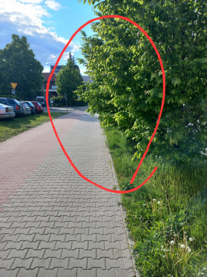 Zdjęcie 2 przedstawia problem zgłoszony w tym alercie