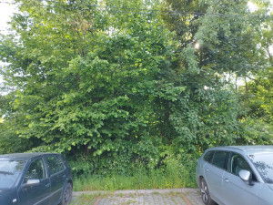 Zdjęcie 1 przedstawia problem zgłoszony w tym alercie
