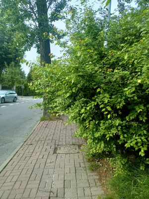Zdjęcie 2 przedstawia problem zgłoszony w tym alercie