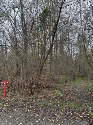 Zdjęcie 2 przedstawia problem zgłoszony w tym alercie