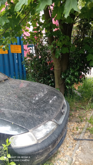 Zdjęcie 1 przedstawia problem zgłoszony w tym alercie