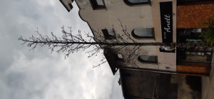 Zdjęcie 1 przedstawia problem zgłoszony w tym alercie
