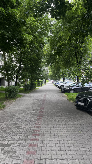 Zdjęcie 4 przedstawia problem zgłoszony w tym alercie