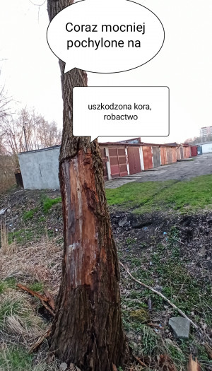 Zdjęcie 1 przedstawia problem zgłoszony w tym alercie