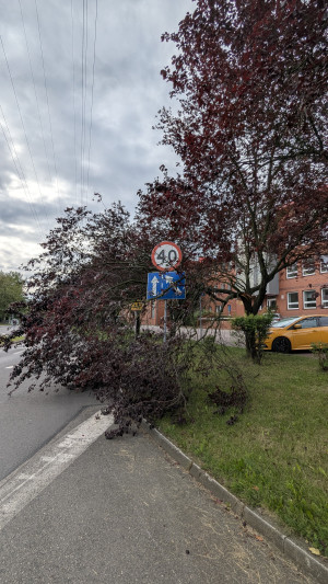 Zdjęcie 1 przedstawia problem zgłoszony w tym alercie