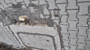 Zdjęcie 3 przedstawia problem zgłoszony w tym alercie
