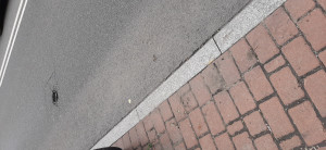 Zdjęcie 2 przedstawia problem zgłoszony w tym alercie