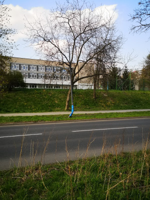 Zdjęcie 1 przedstawia problem zgłoszony w tym alercie