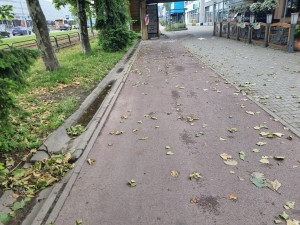 Zdjęcie 3 przedstawia problem zgłoszony w tym alercie