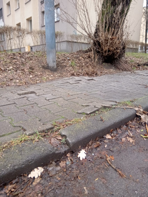 Zdjęcie 1 przedstawia problem zgłoszony w tym alercie