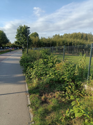 Zdjęcie 7 przedstawia problem zgłoszony w tym alercie