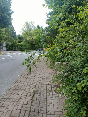 Zdjęcie 4 przedstawia problem zgłoszony w tym alercie