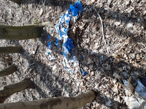 Zdjęcie 2 przedstawia problem zgłoszony w tym alercie