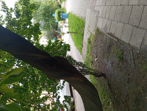 Zdjęcie 5 przedstawia problem zgłoszony w tym alercie