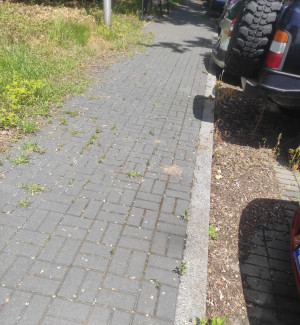 Zdjęcie 1 przedstawia problem zgłoszony w tym alercie