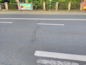 Zdjęcie 4 przedstawia problem zgłoszony w tym alercie