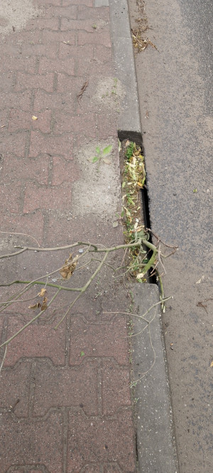 Zdjęcie 1 przedstawia problem zgłoszony w tym alercie