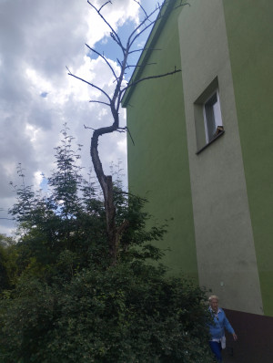 Zdjęcie 1 przedstawia problem zgłoszony w tym alercie