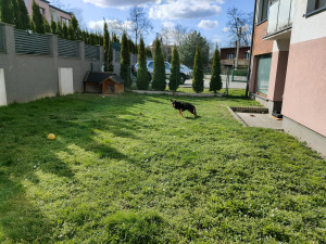 Zdjęcie 2 przedstawia problem zgłoszony w tym alercie