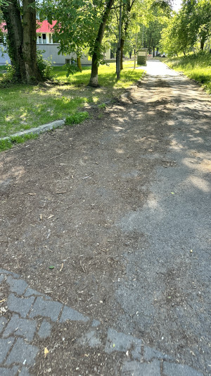 Zdjęcie 2 przedstawia problem zgłoszony w tym alercie