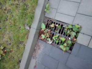 Zdjęcie 3 przedstawia problem zgłoszony w tym alercie