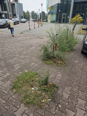 Zdjęcie 1 przedstawia problem zgłoszony w tym alercie