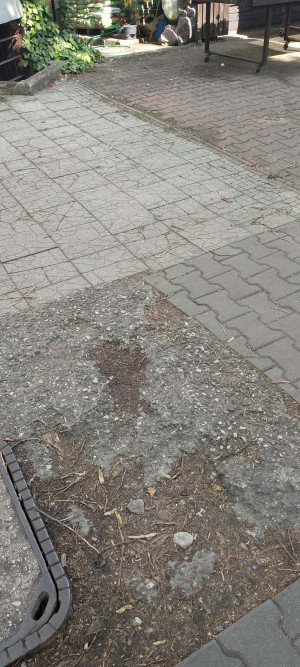 Zdjęcie 4 przedstawia problem zgłoszony w tym alercie