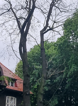 Zdjęcie 2 przedstawia problem zgłoszony w tym alercie