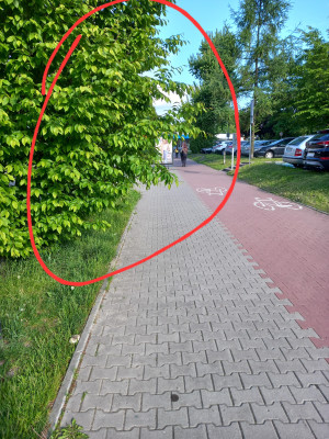 Zdjęcie 1 przedstawia problem zgłoszony w tym alercie