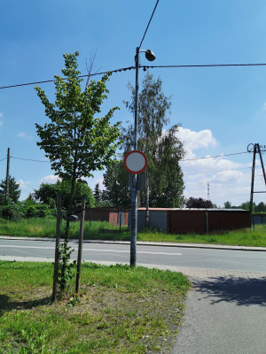 Zdjęcie 1 przedstawia problem zgłoszony w tym alercie