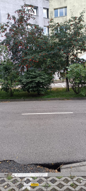Zdjęcie 4 przedstawia problem zgłoszony w tym alercie