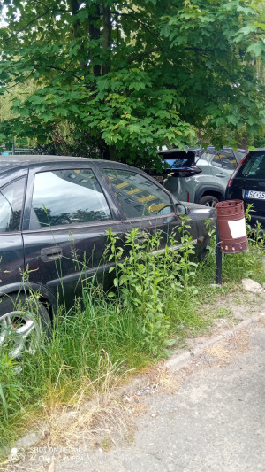 Zdjęcie 2 przedstawia problem zgłoszony w tym alercie