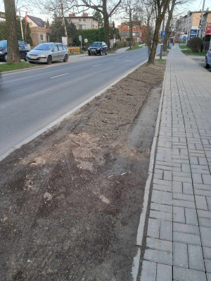 Zdjęcie 4 przedstawia problem zgłoszony w tym alercie