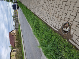 Zdjęcie 1 przedstawia problem zgłoszony w tym alercie