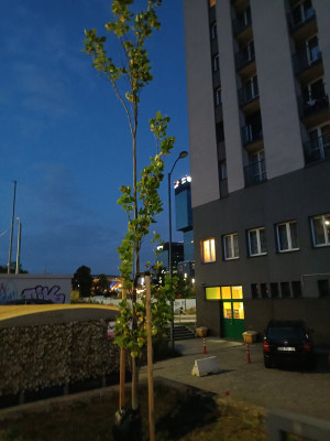 Zdjęcie 9 przedstawia problem zgłoszony w tym alercie