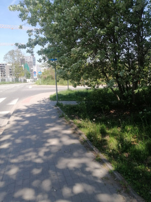 Zdjęcie 1 przedstawia problem zgłoszony w tym alercie