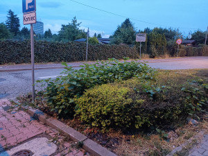 Zdjęcie 1 przedstawia problem zgłoszony w tym alercie