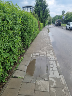 Zdjęcie 1 przedstawia problem zgłoszony w tym alercie