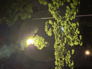 Zdjęcie 1 przedstawia problem zgłoszony w tym alercie
