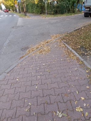 Zdjęcie 1 przedstawia problem zgłoszony w tym alercie
