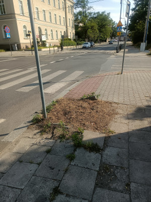 Zdjęcie 3 przedstawia problem zgłoszony w tym alercie