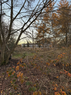 Zdjęcie 3 przedstawia problem zgłoszony w tym alercie