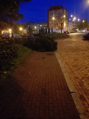 Zdjęcie 1 przedstawia problem zgłoszony w tym alercie