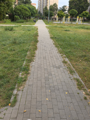 Zdjęcie 1 przedstawia problem zgłoszony w tym alercie