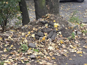 Zdjęcie 2 przedstawia problem zgłoszony w tym alercie