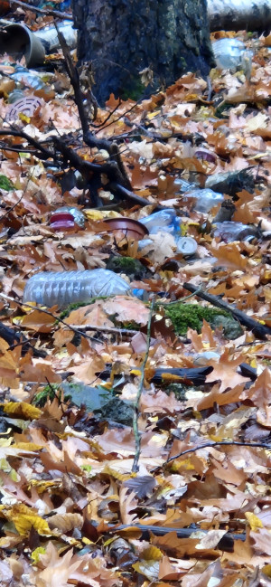 Zdjęcie 5 przedstawia problem zgłoszony w tym alercie