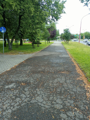 Zdjęcie 10 przedstawia problem zgłoszony w tym alercie