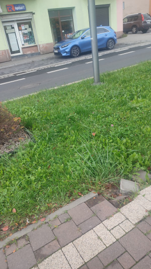 Zdjęcie 2 przedstawia problem zgłoszony w tym alercie