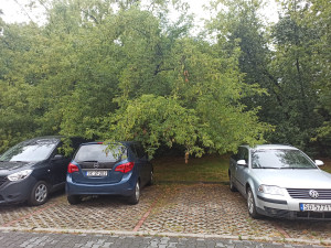 Zdjęcie 1 przedstawia problem zgłoszony w tym alercie